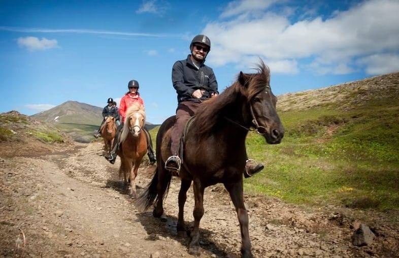 Guests riding Icelandic horses